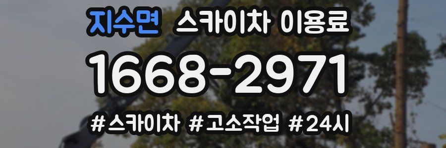 지수면 스카이차 이용료