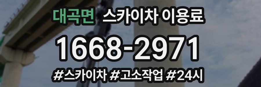 대곡면 스카이차 이용료