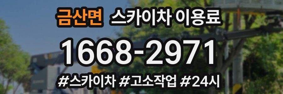 금산면 스카이차 이용료