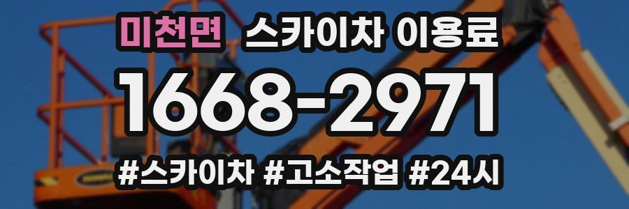 미천면 스카이차 이용료