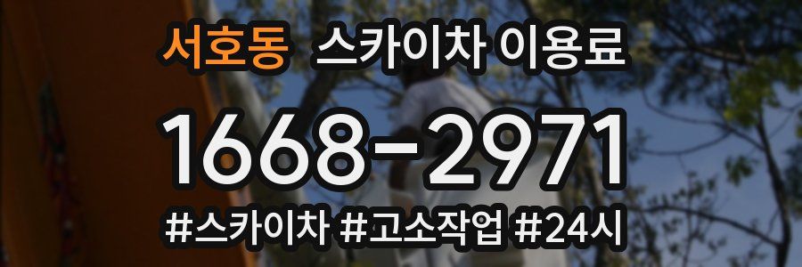 서호동 스카이차 이용료
