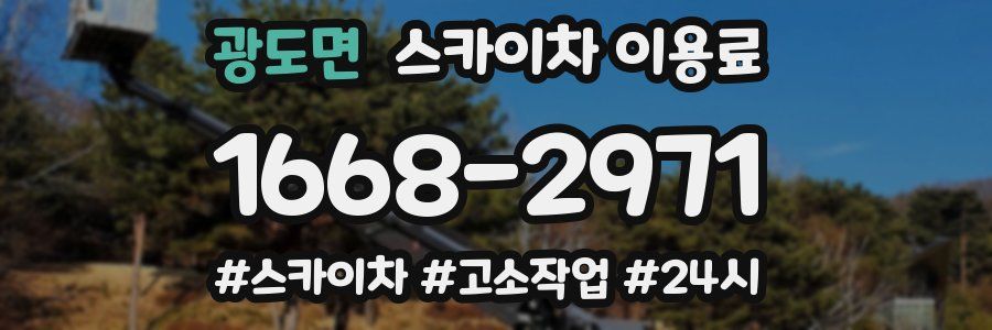 광도면 스카이차 이용료