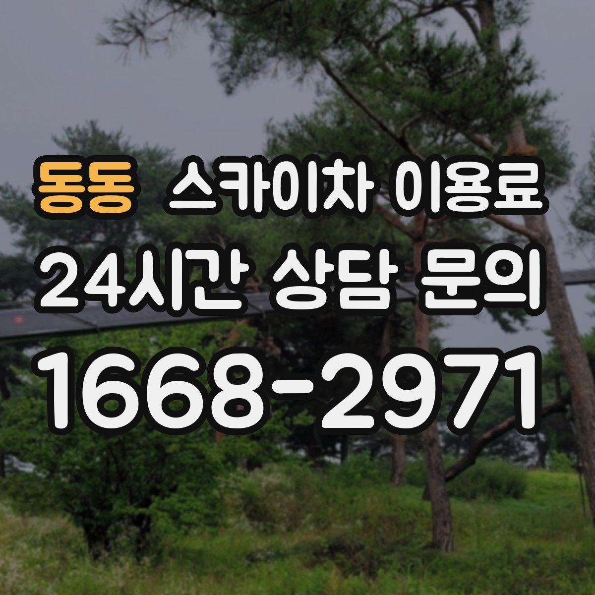 동동 스카이차 이용료