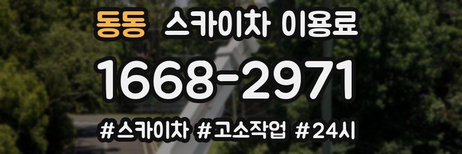 동동 스카이차 이용료
