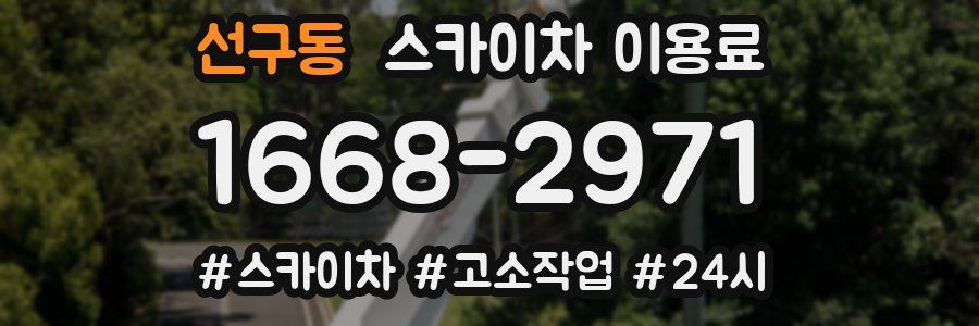 선구동 스카이차 이용료