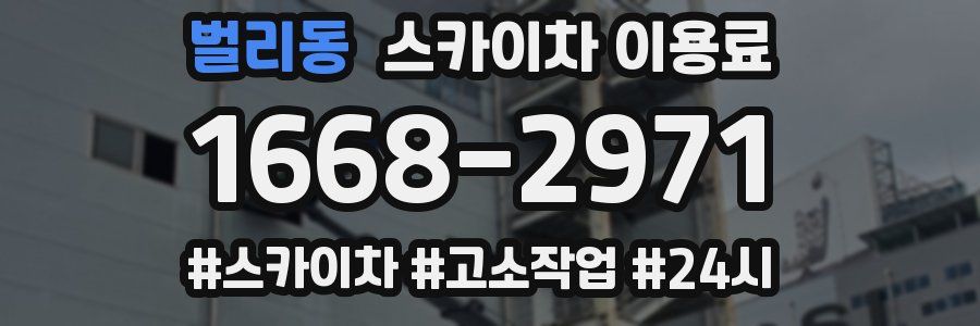 벌리동 스카이차 이용료