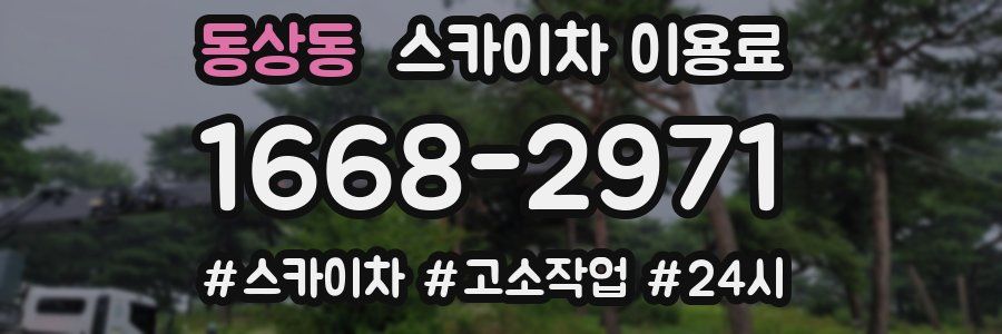 동상동 스카이차 이용료