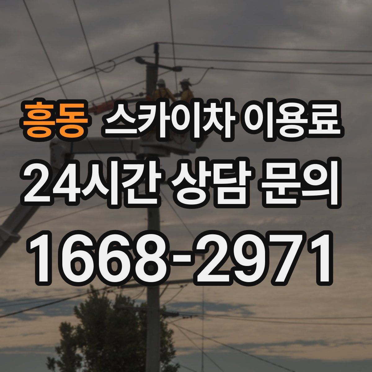 흥동 스카이차 이용료