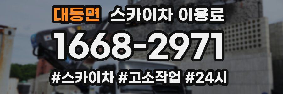 대동면 스카이차 이용료