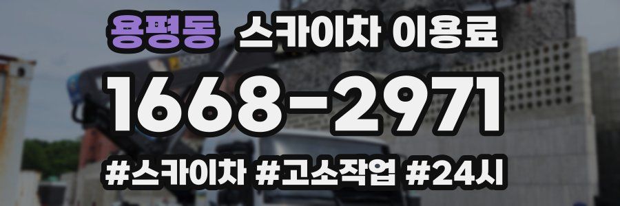 용평동 스카이차 이용료