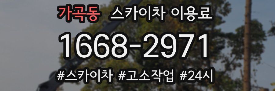 가곡동 스카이차 이용료