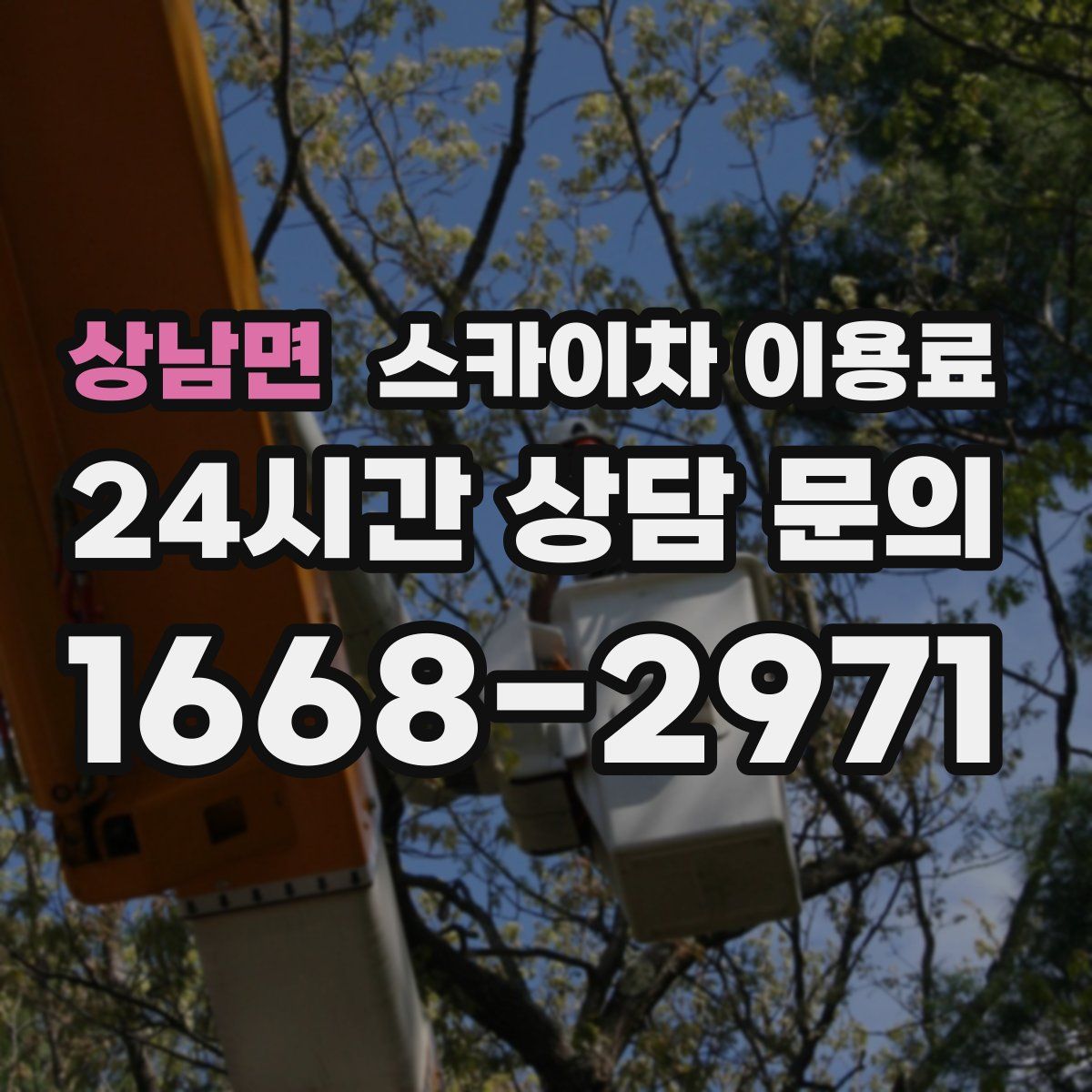 상남면 스카이차 이용료
