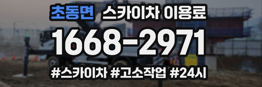 초동면 스카이차 이용료