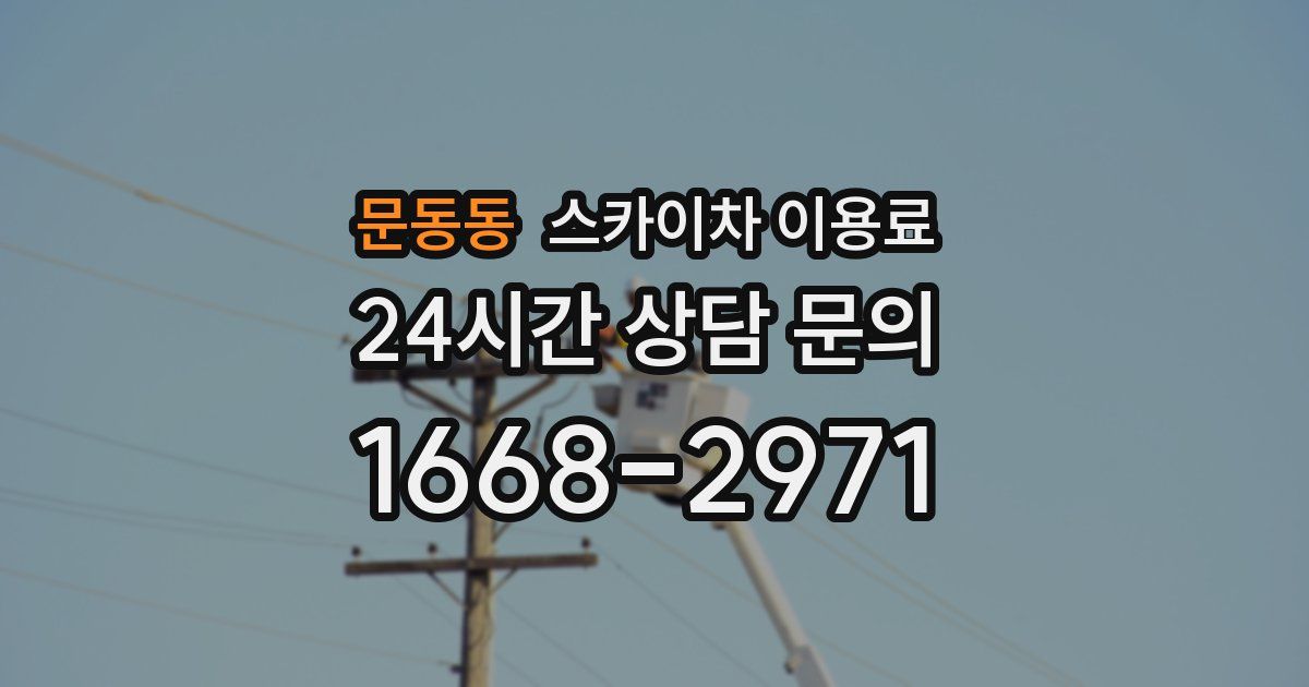 문동동 스카이차 이용료