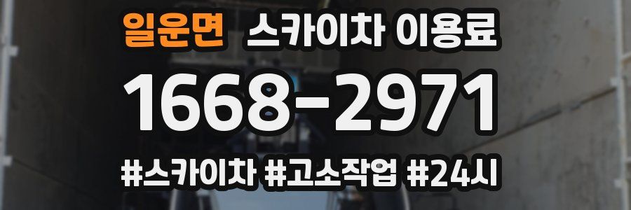 일운면 스카이차 이용료