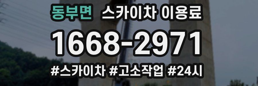 동부면 스카이차 이용료