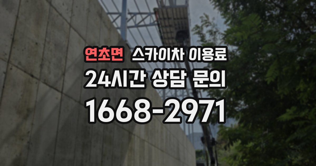 연초면 스카이차 이용료