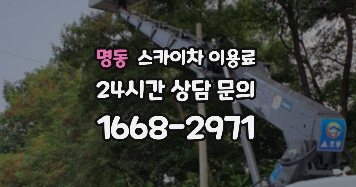 명동 스카이차 이용료
