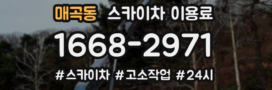 매곡동 스카이차 이용료