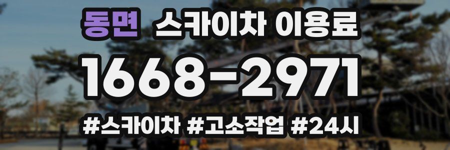 동면 스카이차 이용료