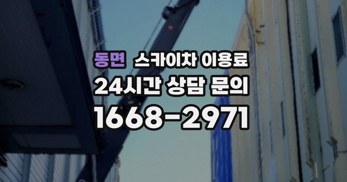 동면 스카이차 이용료