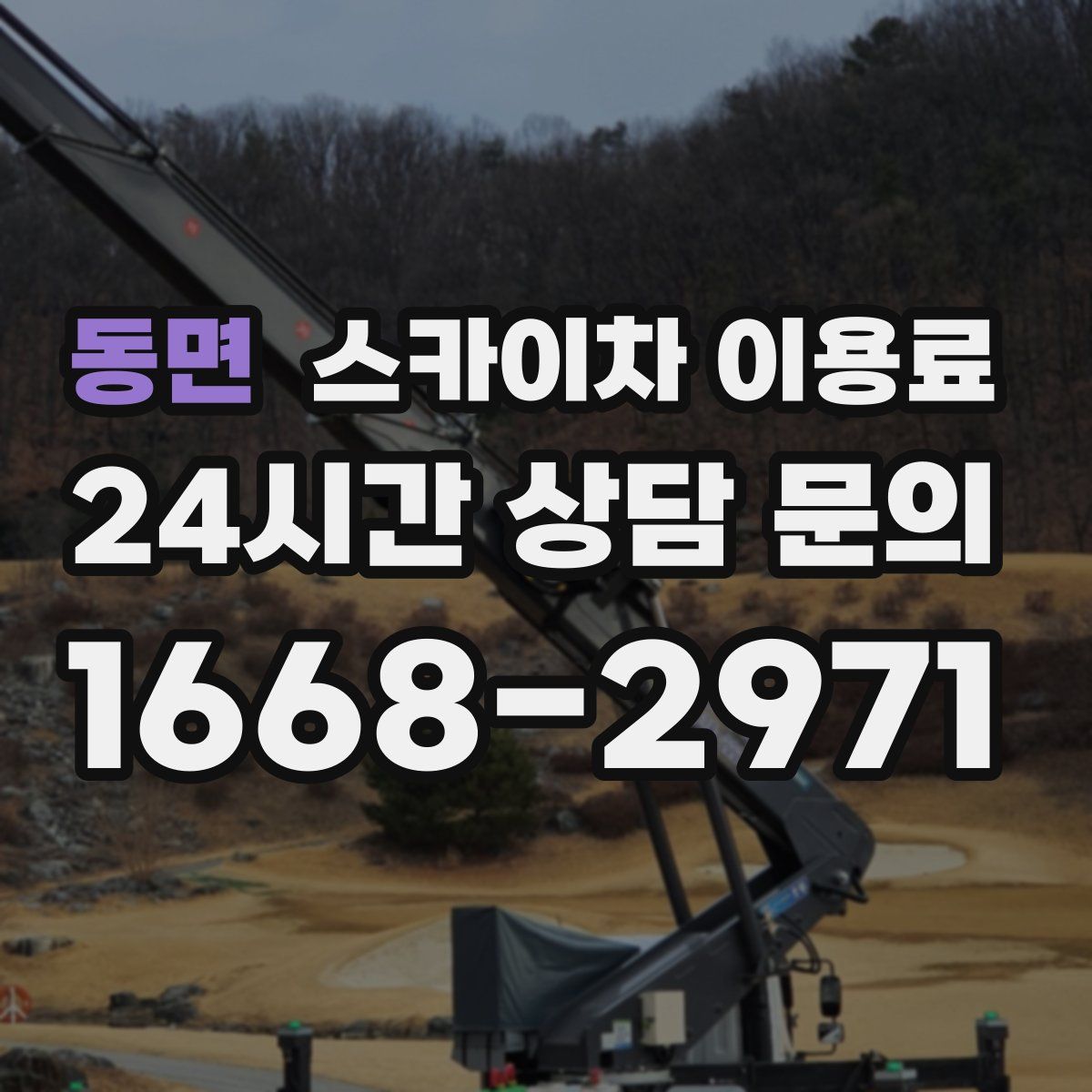 동면 스카이차 이용료