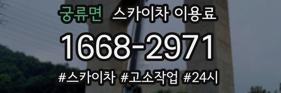 궁류면 스카이차 이용료