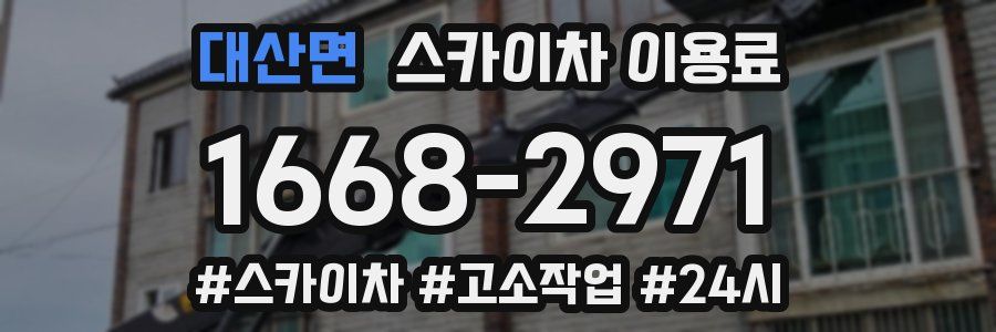 대산면 스카이차 이용료