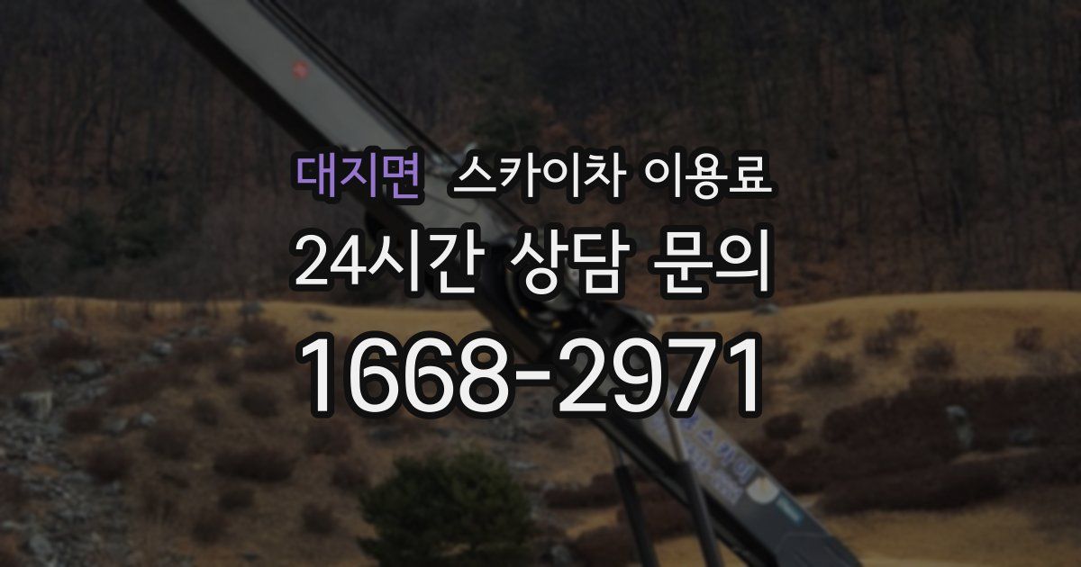 대지면 스카이차 이용료