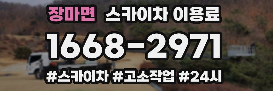 장마면 스카이차 이용료