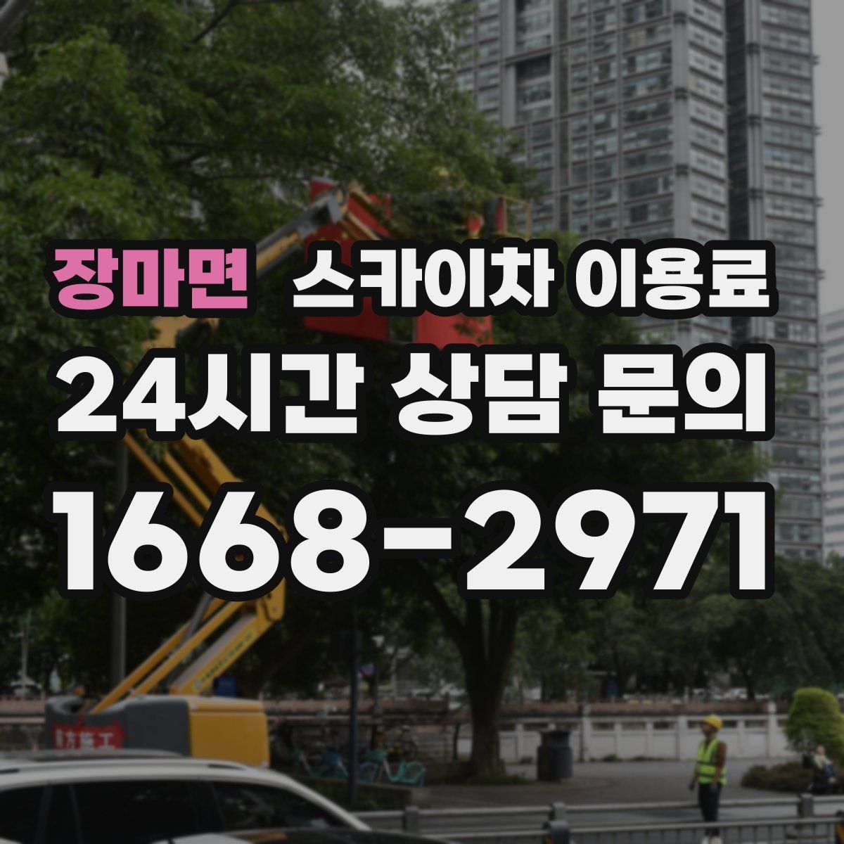 장마면 스카이차 이용료