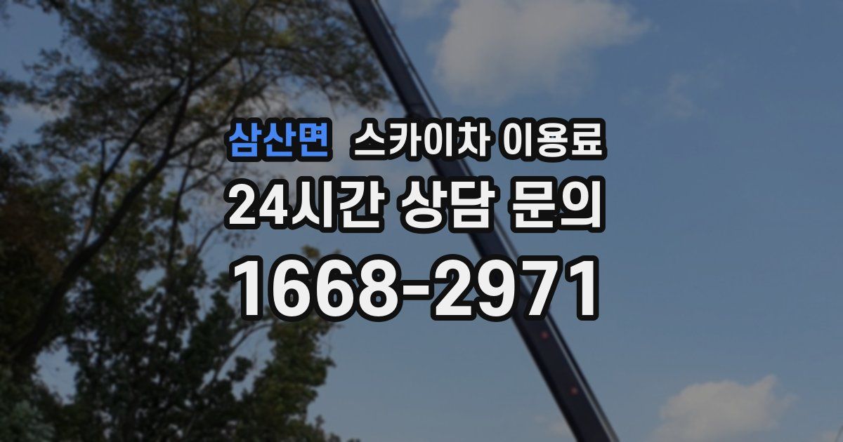삼산면 스카이차 이용료