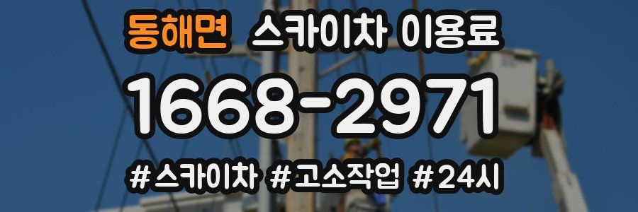 동해면 스카이차 이용료