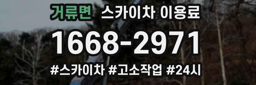 거류면 스카이차 이용료