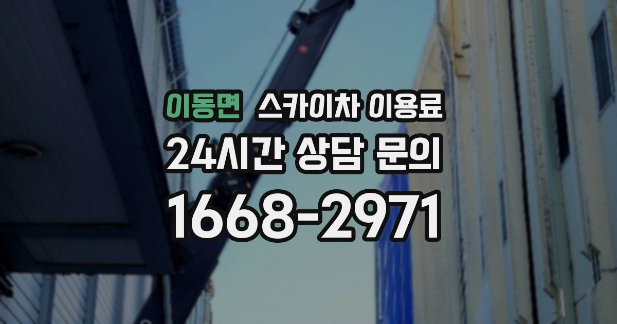 이동면 스카이차 이용료