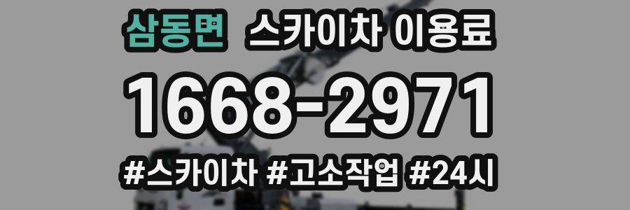 삼동면 스카이차 이용료