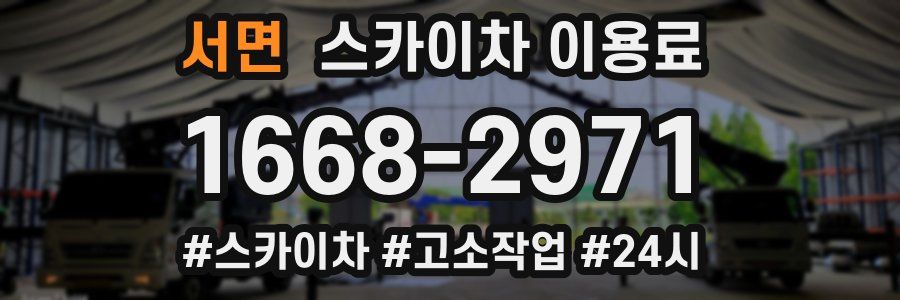 서면 스카이차 이용료