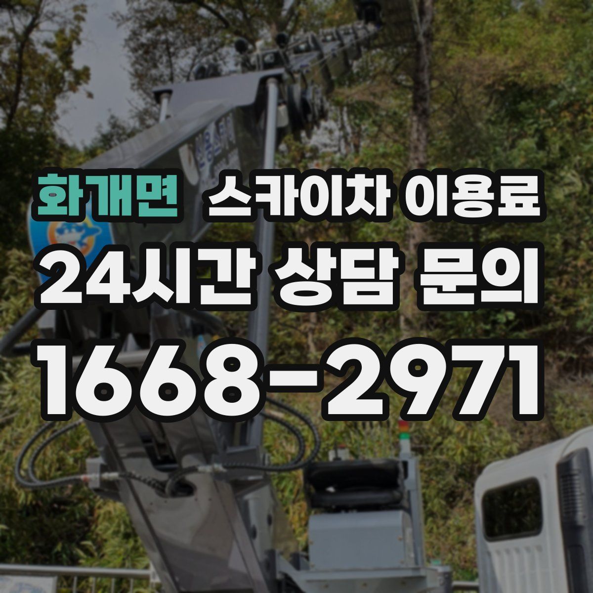 화개면 스카이차 이용료