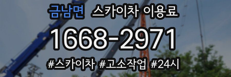 금남면 스카이차 이용료