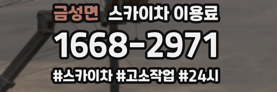 금성면 스카이차 이용료