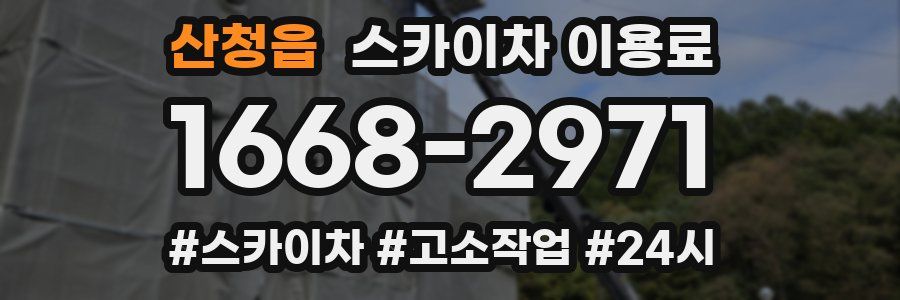 산청읍 스카이차 이용료