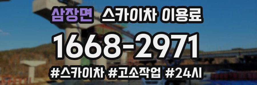 삼장면 스카이차 이용료