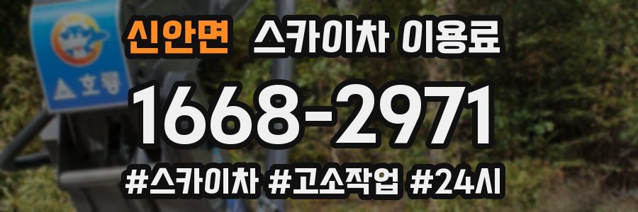 신안면 스카이차 이용료