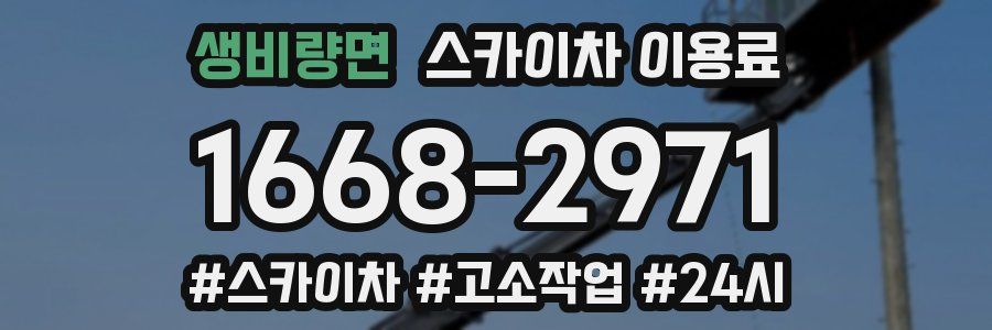 생비량면 스카이차 이용료