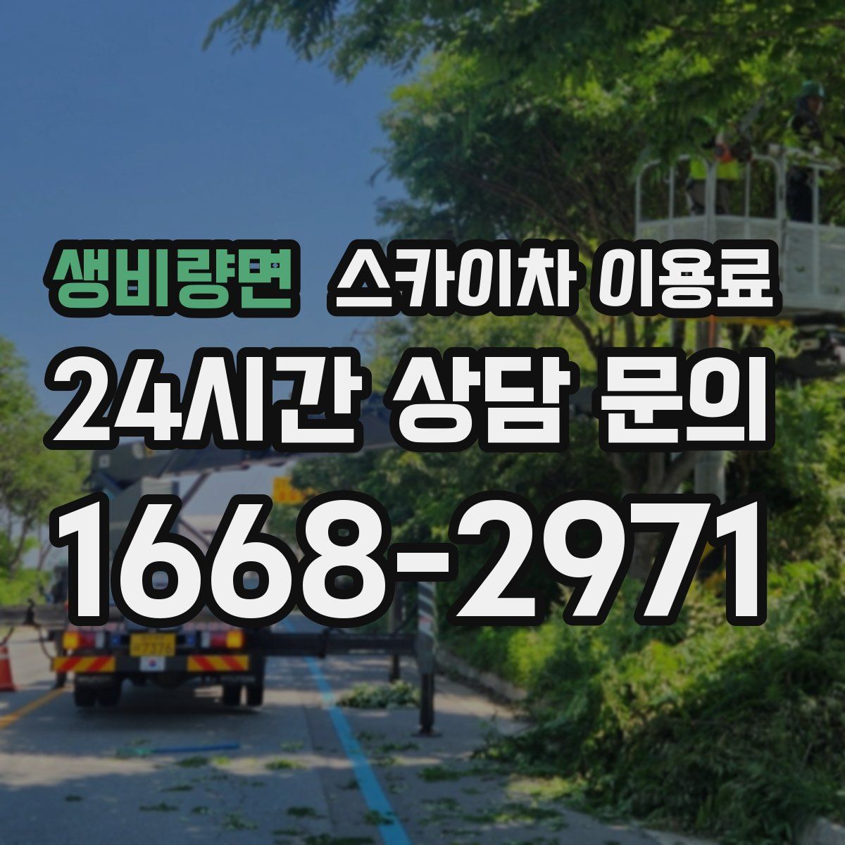 생비량면 스카이차 이용료