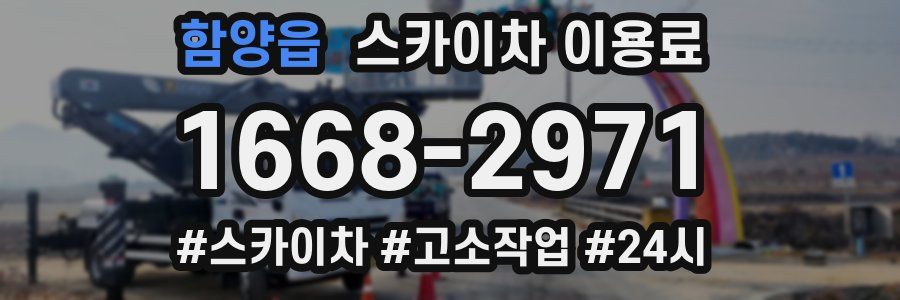 함양읍 스카이차 이용료