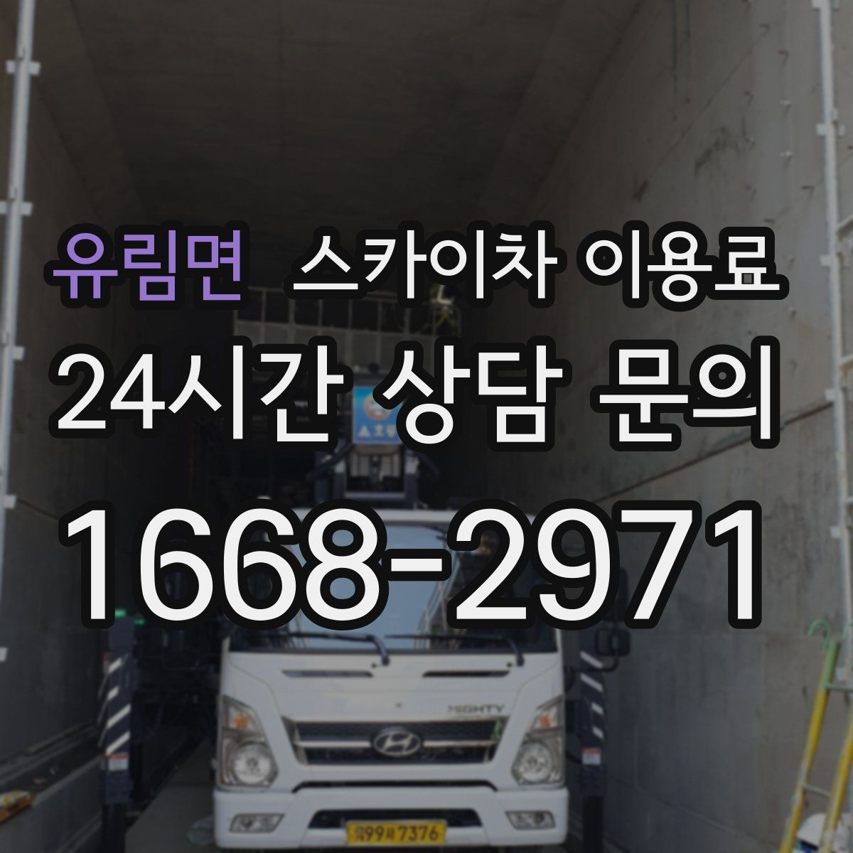 유림면 스카이차 이용료