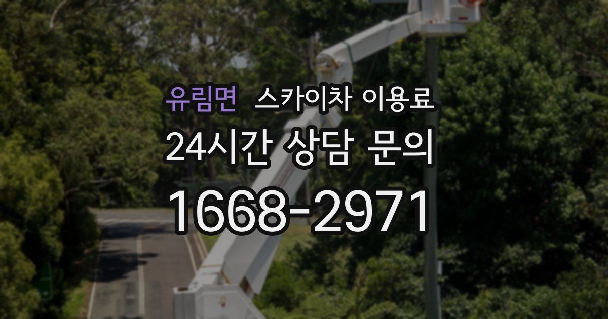 유림면 스카이차 이용료