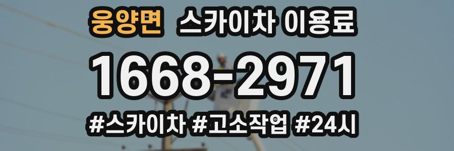 웅양면 스카이차 이용료