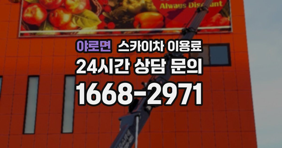 야로면 스카이차 이용료